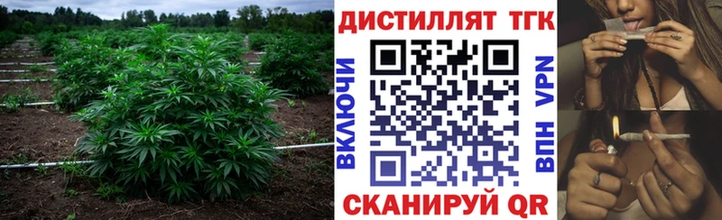 Дистиллят ТГК Wax  Сухой Лог 